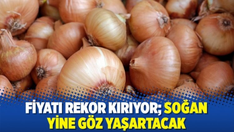 Fiyatı rekor kırıyor; Soğan yine göz yaşartacak