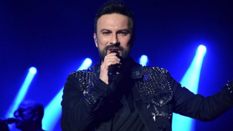 Tarkan’dan kesilen zeytin ağaçları için tepki: Yazıklar olsun