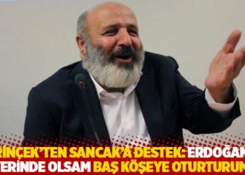 Perinçek’ten Sancak’a destek: Erdoğan’ın yerinde olsam baş köşeye oturturum