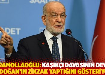 Karamollaoğlu: Kaşıkçı davasının devri, Erdoğan’ın zikzak yaptığını gösteriyor