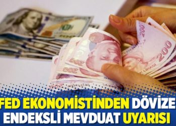 Fed ekonomistinden Dövize Endeksli Mevduat uyarısı