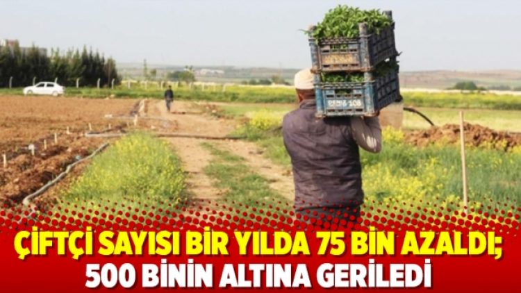 Çiftçi sayısı bir yılda 75 bin azaldı; 500 binin altına geriledi