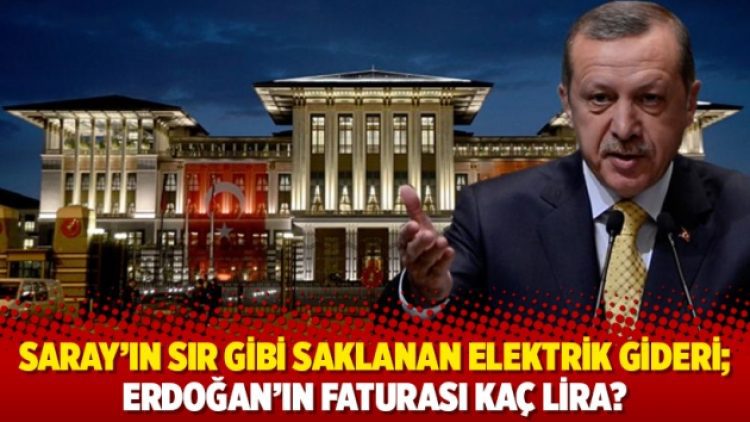 Saray’ın sır gibi saklanan elektrik gideri; Erdoğan’ın faturası kaç lira?