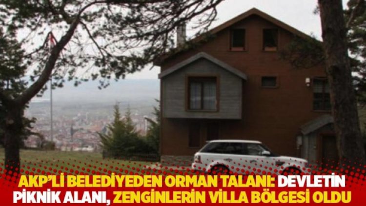 AKP’li belediyeden orman talanı: Devletin piknik alanı, zenginlerin villa bölgesi oldu