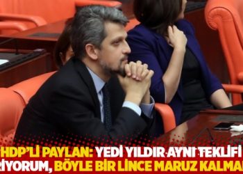 HDP’li Paylan: Yedi yıldır aynı teklifi veriyorum, böyle bir lince maruz kalmadım