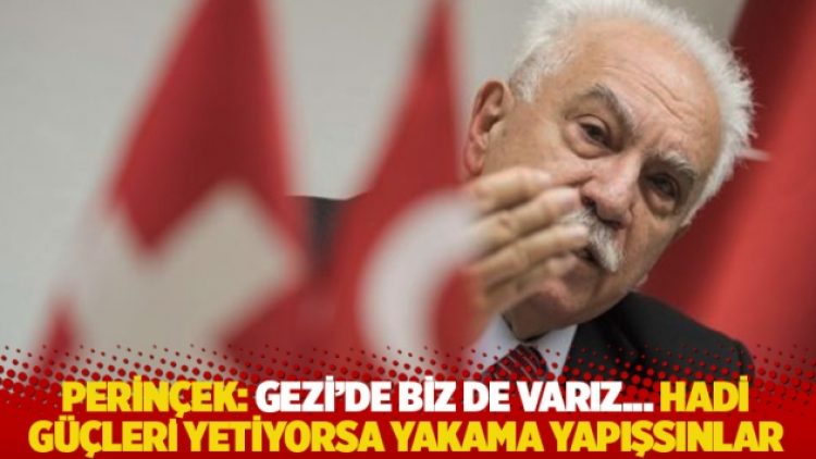 Perinçek: Gezi’de biz de varız… Hadi güçleri yetiyorsa yakama yapışsınlar