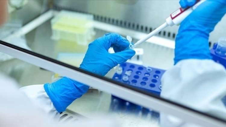 ‘Gizemli hepatit’ hastalığı iki ülkede daha görüldü