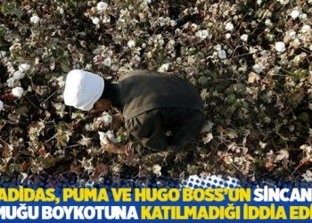 Adidas, Puma ve Hugo Boss’un Sincan pamuğu boykotuna katılmadığı iddia edildi