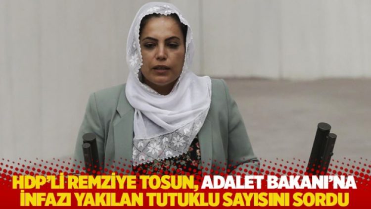 HDP’li Remziye Tosun, Adalet Bakanı’na infazı yakılan tutuklu sayısını sordu