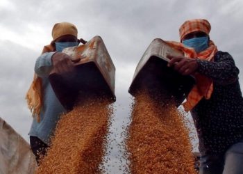 Türkiye tarihinde bir ilk: Hindistan’dan 50 bin yon buğday ithal edildi