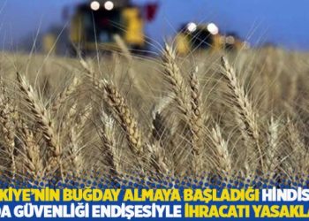 Türkiye’nin buğday almaya başladığı Hindistan, gıda güvenliği endişesiyle ihracatı yasakladı