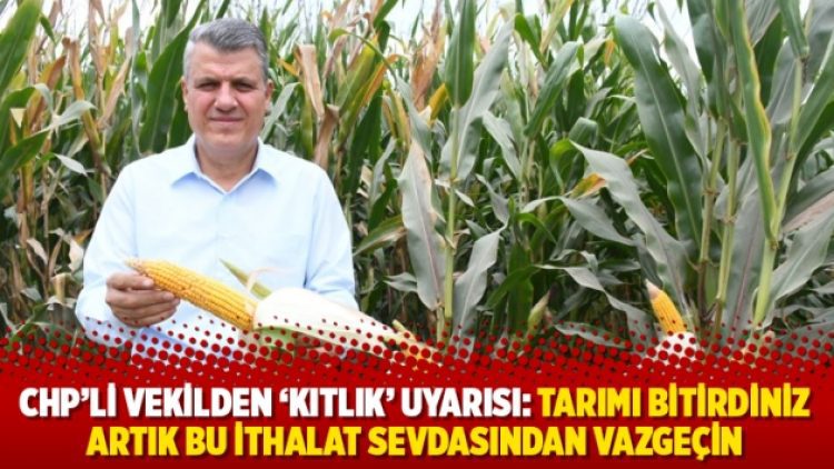 CHP’li vekilden ‘kıtlık’ uyarısı: Tarımı bitirdiniz artık bu ithalat sevdasından vazgeçin