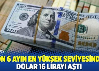 Son 6 ayın en yüksek seviyesinde: Dolar 16 lirayı aştı