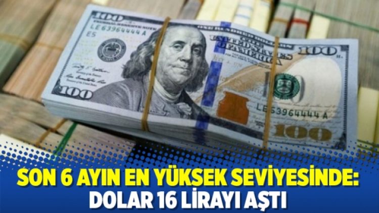 Son 6 ayın en yüksek seviyesinde: Dolar 16 lirayı aştı