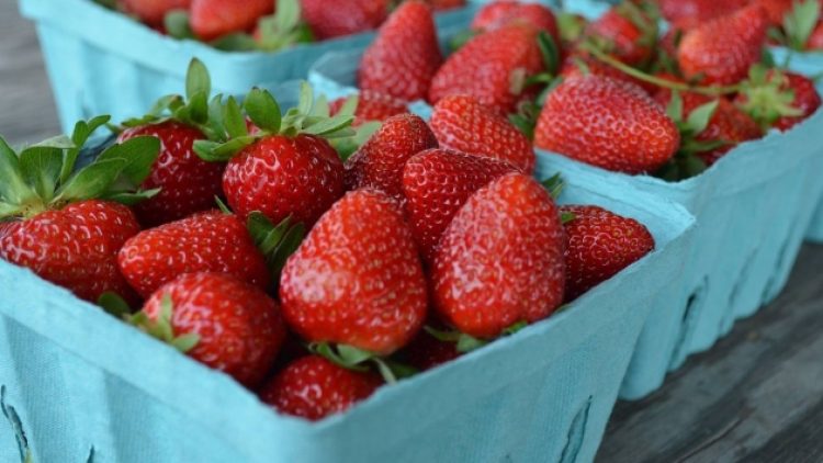 Yeni bir salgın krizi daha! Çileklerden yayılmış olabilir