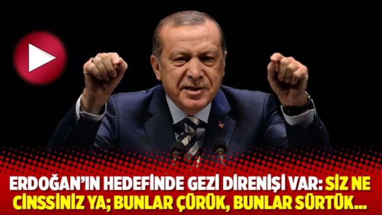 Erdoğan’ın hedefinde Gezi direnişi var: Siz ne cinssiniz ya; bunlar çürük, bunlar sürtük…