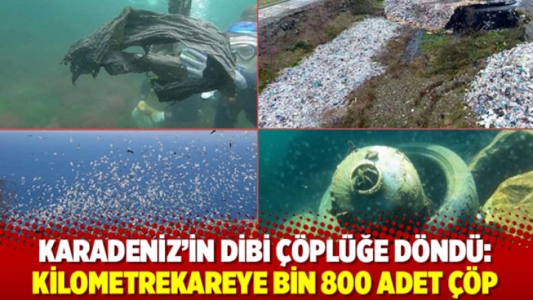 Karadeniz’in dibi çöplüğe döndü: Kilometrekareye bin 800 adet çöp