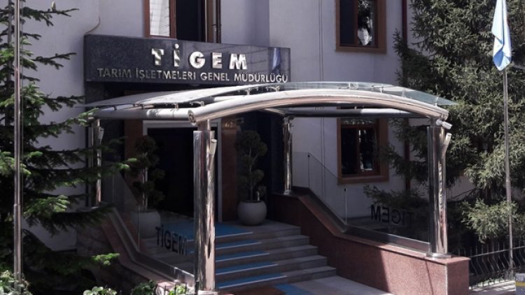 4 yıl çalışmadan maaş alan isim TİGEM’e Genel Müdür yapıldı