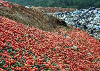 Antalya’da kilolarca sebze çöpe döküldü