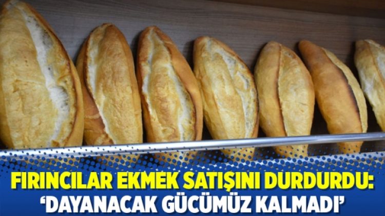 Fırıncılar ekmek satışını durdurdu: ‘Dayanacak gücümüz kalmadı’