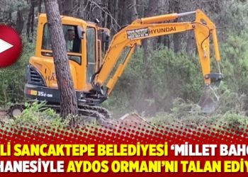AKP’li Sancaktepe Belediyesi ‘millet bahçesi’ bahanesiyle Aydos Ormanı’nı talan ediyor