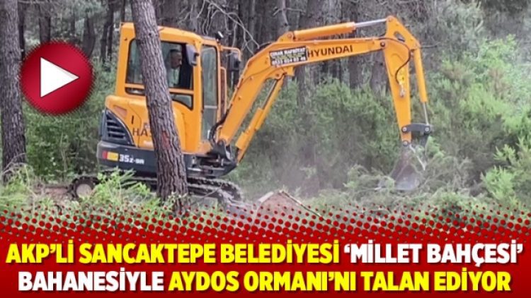 AKP’li Sancaktepe Belediyesi ‘millet bahçesi’ bahanesiyle Aydos Ormanı’nı talan ediyor