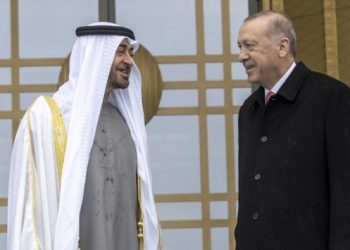BAE, Türk ilaç şirketini satın alıyor