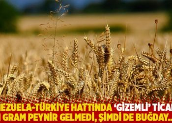 Venezuela-Türkiye hattında ‘gizemli’ ticaret: 1 gram peynir gelmedi, şimdi de buğday…