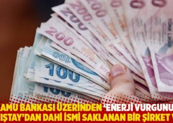 Kamu bankası üzerinden ‘enerji vurgunu’: Sayıştay’dan dahi ismi saklanan bir şirket var