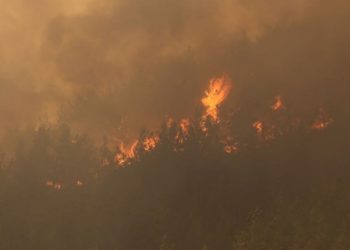 EGM: Marmaris’teki yangınla ilgili paylaşımlara işlem başlatıldı