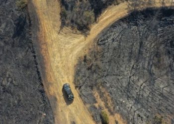 Marmaris’teki orman yangınıyla ilgili bir kişi gözaltına alındı