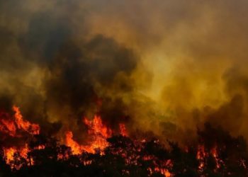 Marmaris’teki yangın dördüncü gününde