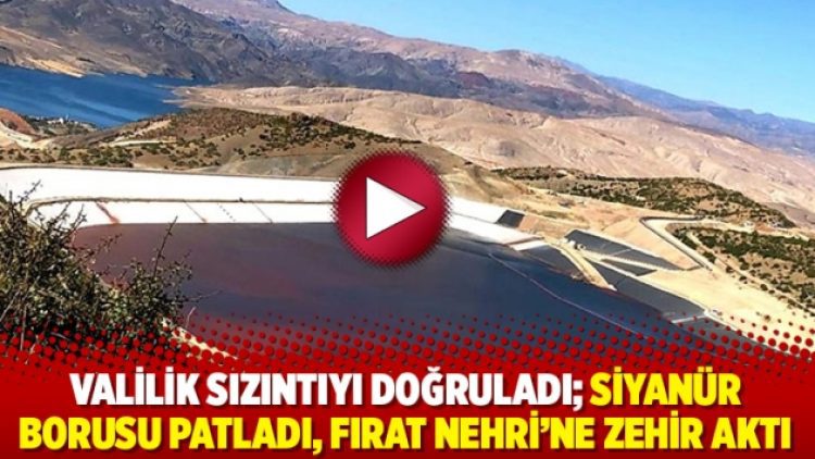 Valilik sızıntıyı doğruladı; siyanür borusu patladı, Fırat Nehri’ne zehir aktı