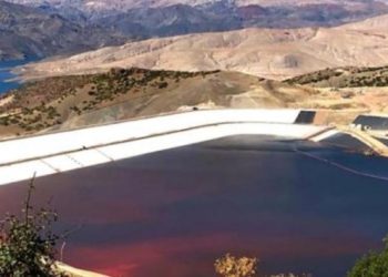 Yeşiller ve Sol Gelecek Partisi’nden Erzincan İliç’teki siyanür sızıntısı hakkına suç duyurusu