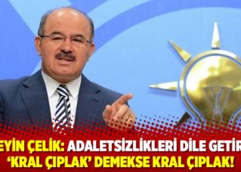 Hüseyin Çelik: Adaletsizlikleri dile getirmek ‘kral çıplak’ demekse kral çıplak!
