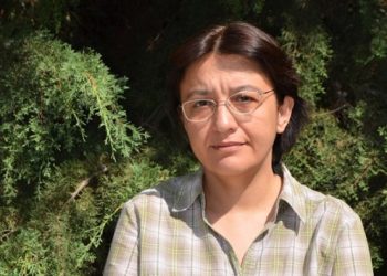 HDP Danışma Kurulu üyeliği Prof. Şebnem Oğuz’u işinden etti!
