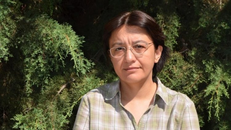 HDP Danışma Kurulu üyeliği Prof. Şebnem Oğuz’u işinden etti!