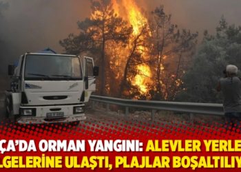 Datça’da orman yangını: Alevler yerleşim bölgelerine ulaştı, plajlar boşaltılıyor