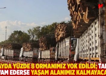 “7 ayda yüzde 8 ormanımız yok edildi; talan devam ederse yaşam alanımız kalmayacak”