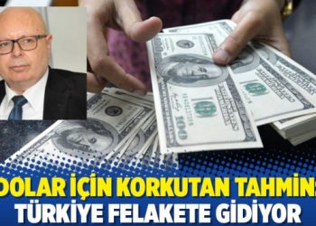 Dolar için korkutan tahmin: Türkiye felakete gidiyor