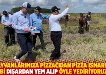 “Hayvanlarımıza pizzacıdan pizza ısmarlar gibi dışardan yem alıp öyle yediriyoruz”