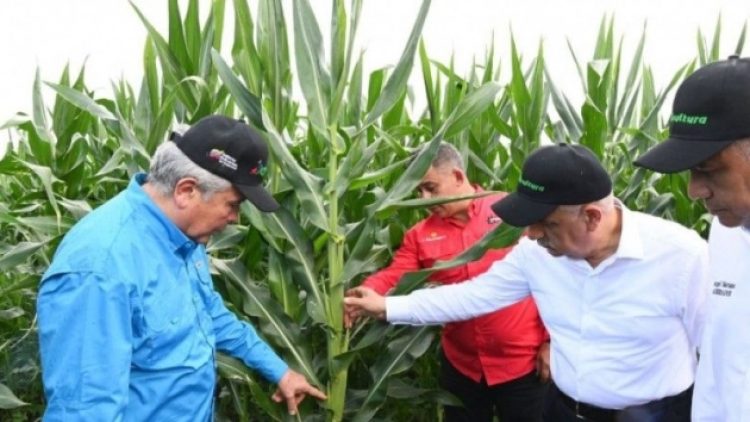 Bakanlık’tan ‘yurt dışında arazi kiralama’ açıklaması