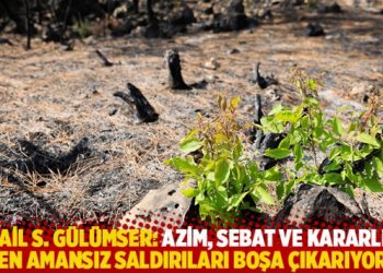 İsmail S. Gülümser’in yazısı: Azim, sebat ve kararlılık en amansız saldırıları boşa çıkarıyor