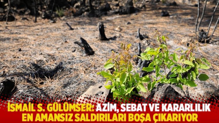 İsmail S. Gülümser’in yazısı: Azim, sebat ve kararlılık en amansız saldırıları boşa çıkarıyor