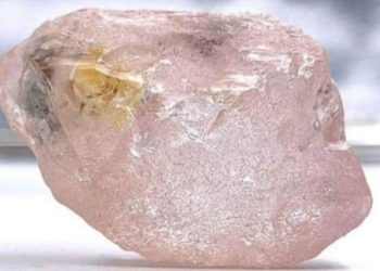 Angola’da son 300 yılın en büyük pembe elması bulundu