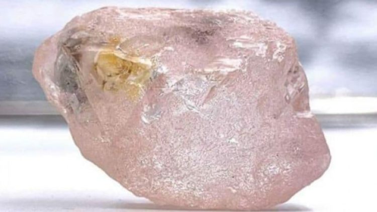 Angola’da son 300 yılın en büyük pembe elması bulundu