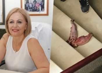 Prof. Dr. Şenol’u öldürmeyi planlayan aşı karşıtı serbest bırakıldı