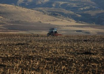 Milyarlarca metrekare tarım arazisi ipotek altında