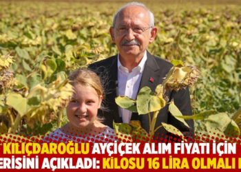 Kılıçdaroğlu ayçiçek alım fiyatı için önerisini açıkladı: Kilosu 16 lira olmalı ki…