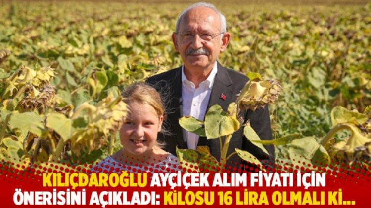 Kılıçdaroğlu ayçiçek alım fiyatı için önerisini açıkladı: Kilosu 16 lira olmalı ki…